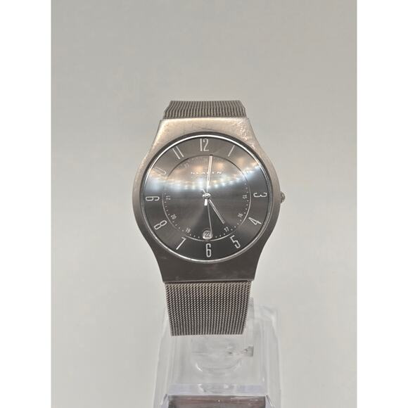 Skagen Men\'s Titanium Watch Date